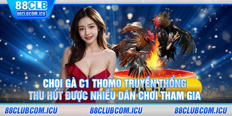 Chọi gà C1 Thomo truyền thống thu hút được nhiều dân chơi tham gia